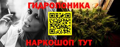 наркотики Гатчина