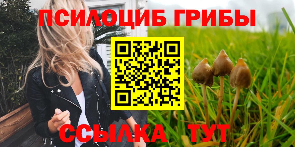 Псилоцибиновые грибы Psilocybe  Вход с VPN  Заинск 