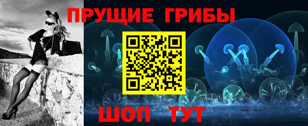 Галлюциногенные грибы Psilocybe Заинск